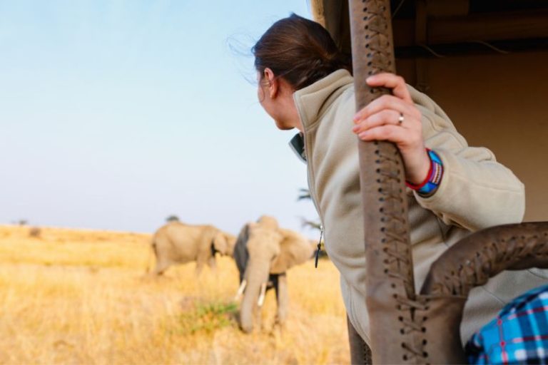 Discover the Stunning Nature of South Africa with Ilala Safaris